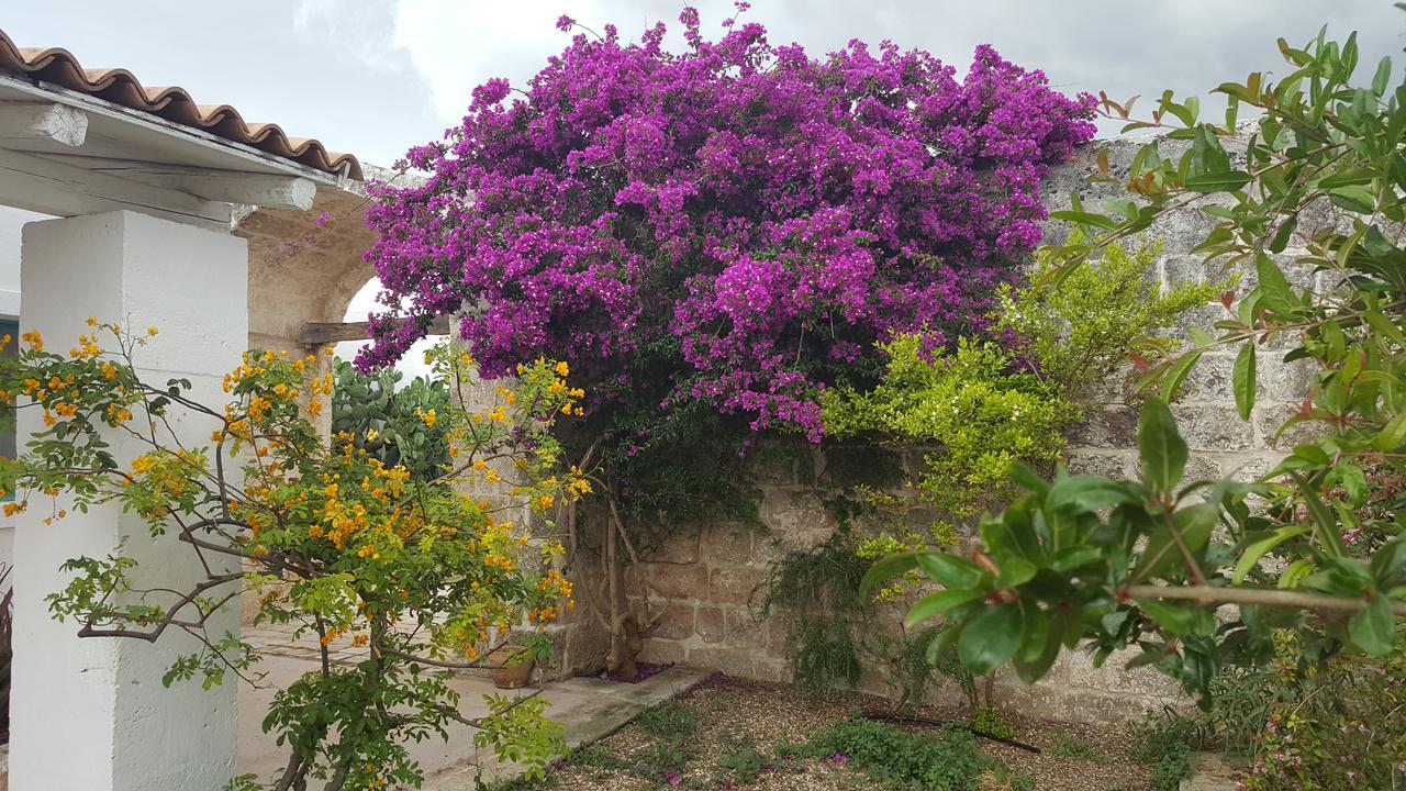 Masseria Palombara Grande Frühstückspension Ostuni